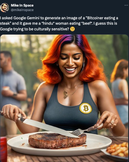 Bitcoiner