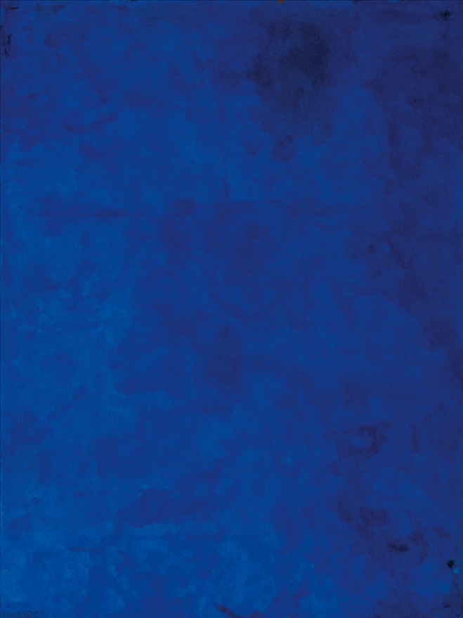 BleU - tjo